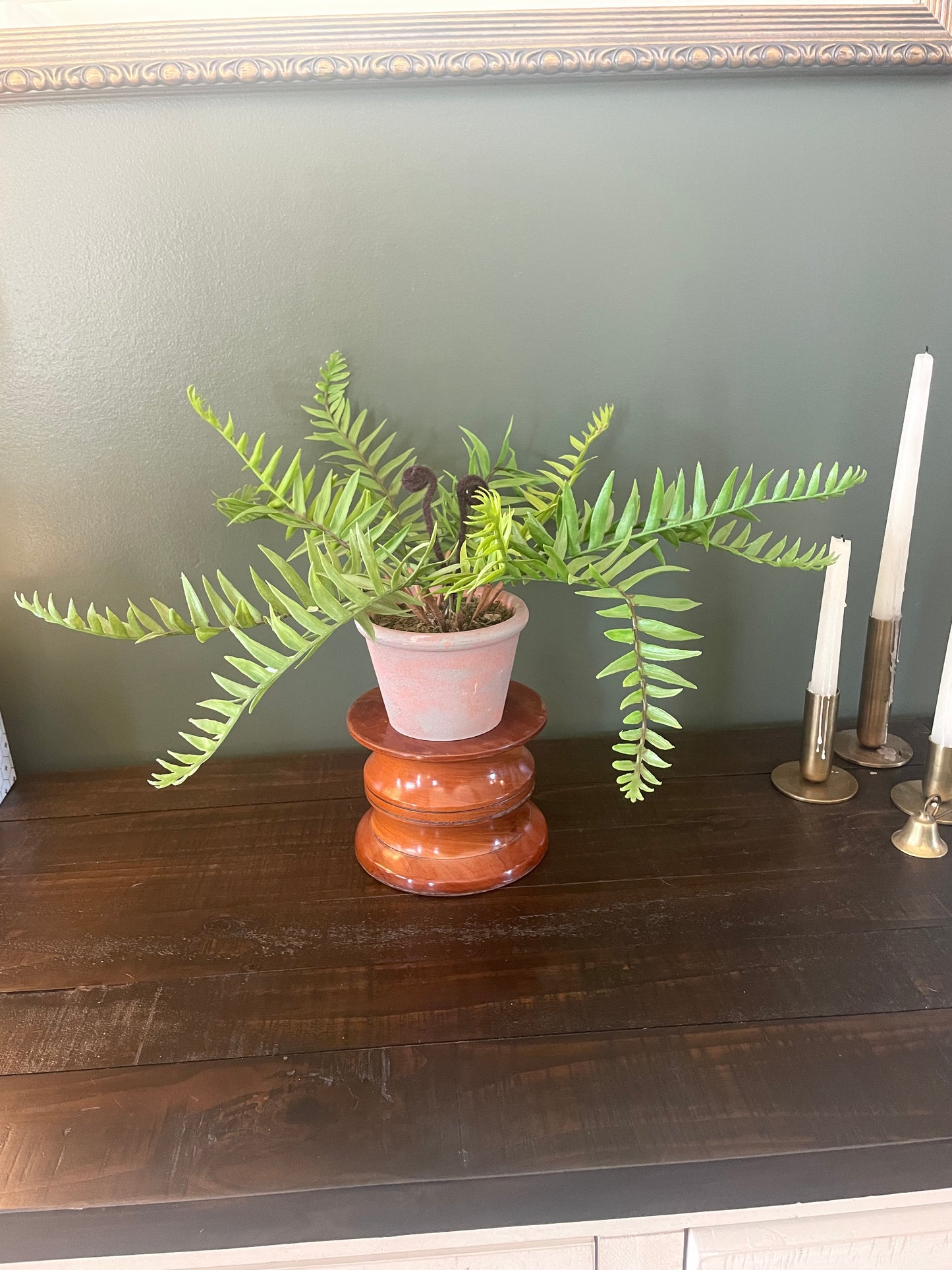 Faux Fern