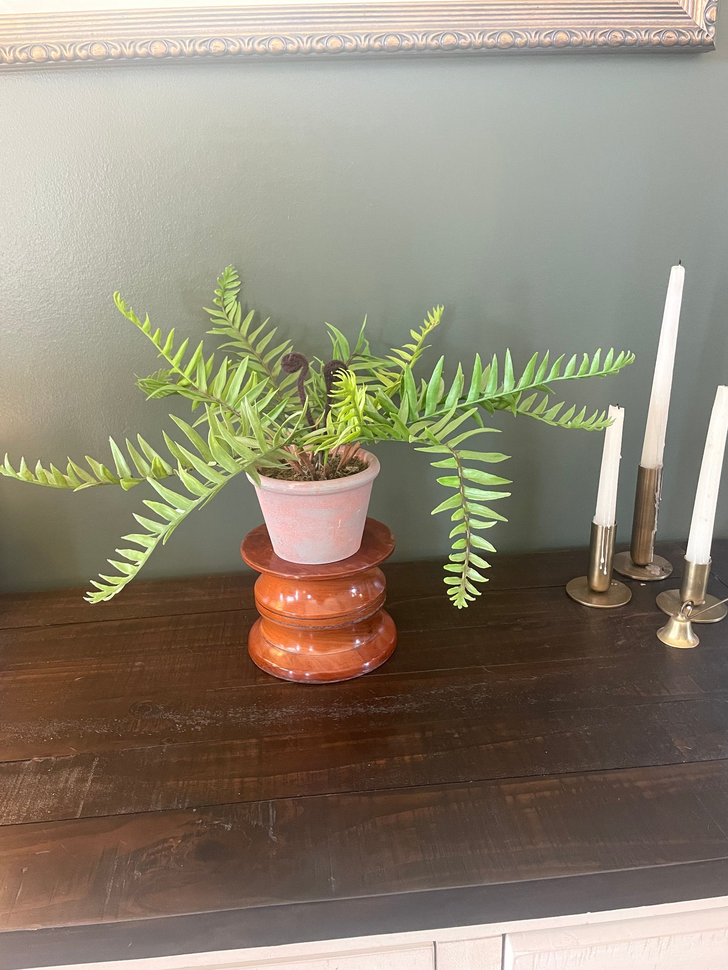 Faux Fern