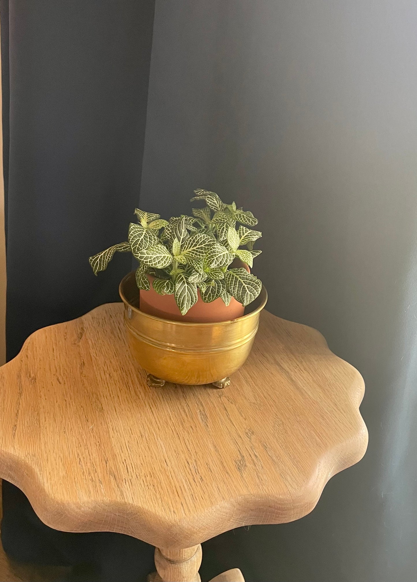 Small brass planter